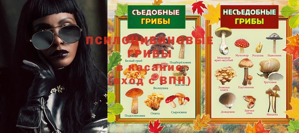 хмурый Алексеевка