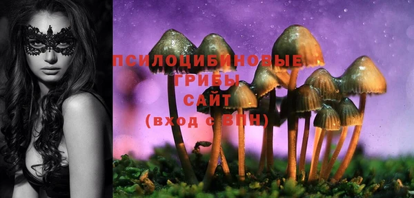 каннабис Алзамай