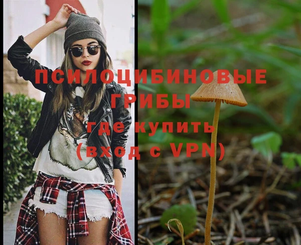 хмурый Алексеевка
