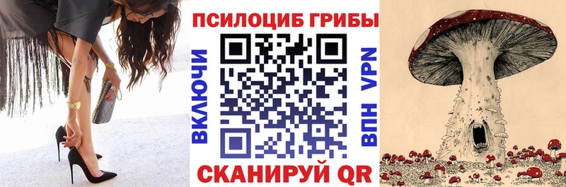 kraken маркетплейс Абакан Галлюциногенные грибы Magic Shrooms